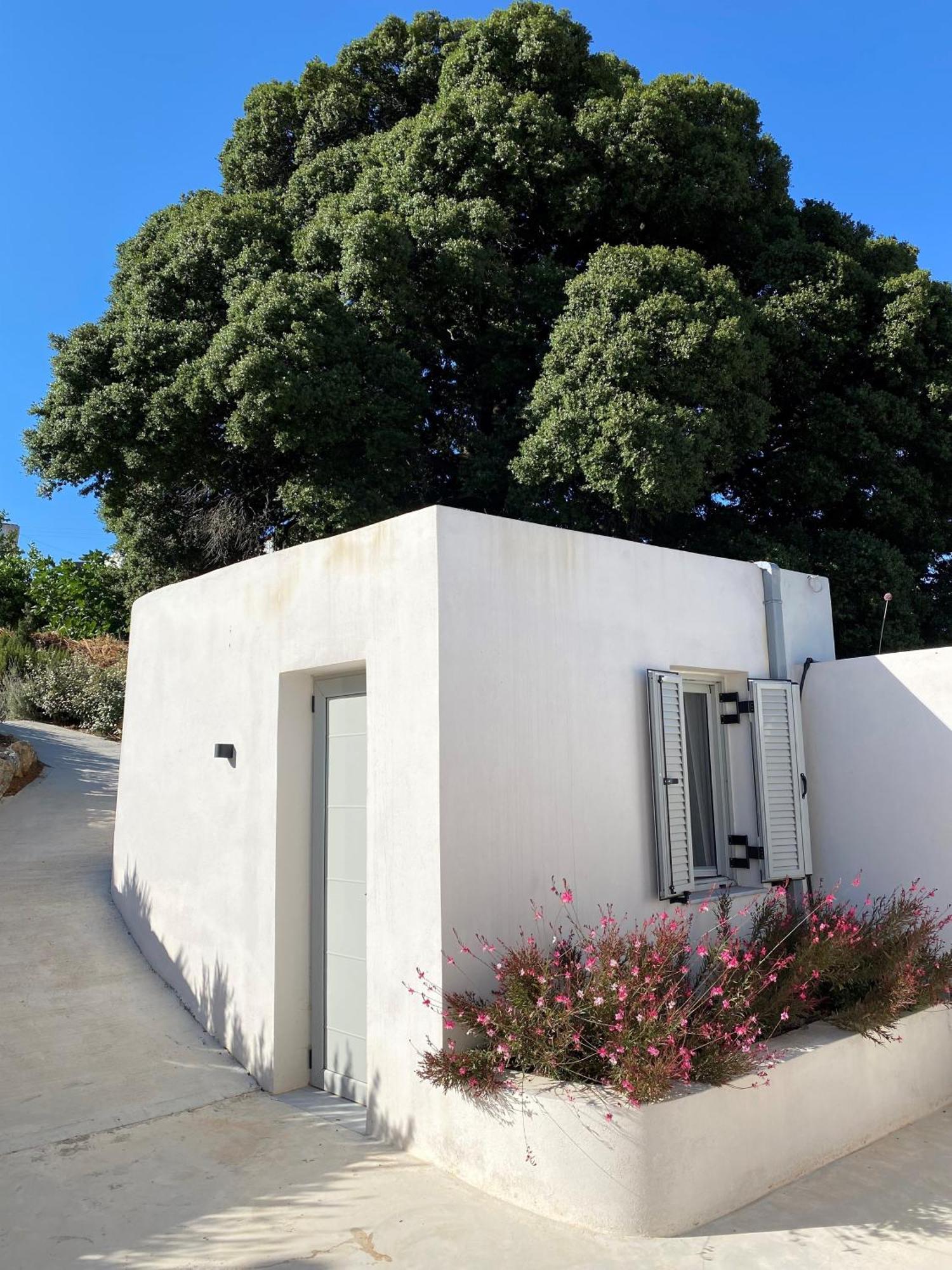 Fourfouras Cottage Buitenkant foto
